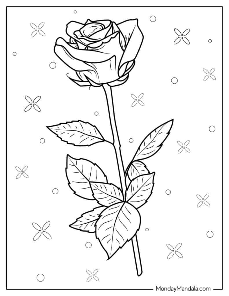 Rose coloring pages free pdf printables