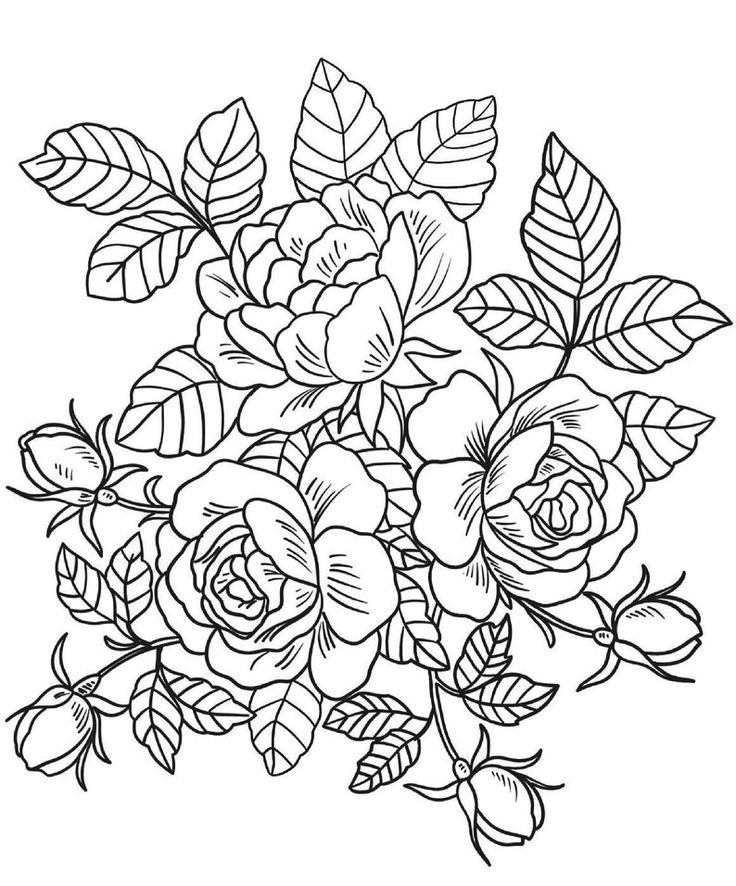 Pages ã colorier de fleurs tãlãchargement instantanã de pages ã colorier floral pages ã colorier livre de coloriage livre de coloriage adulte