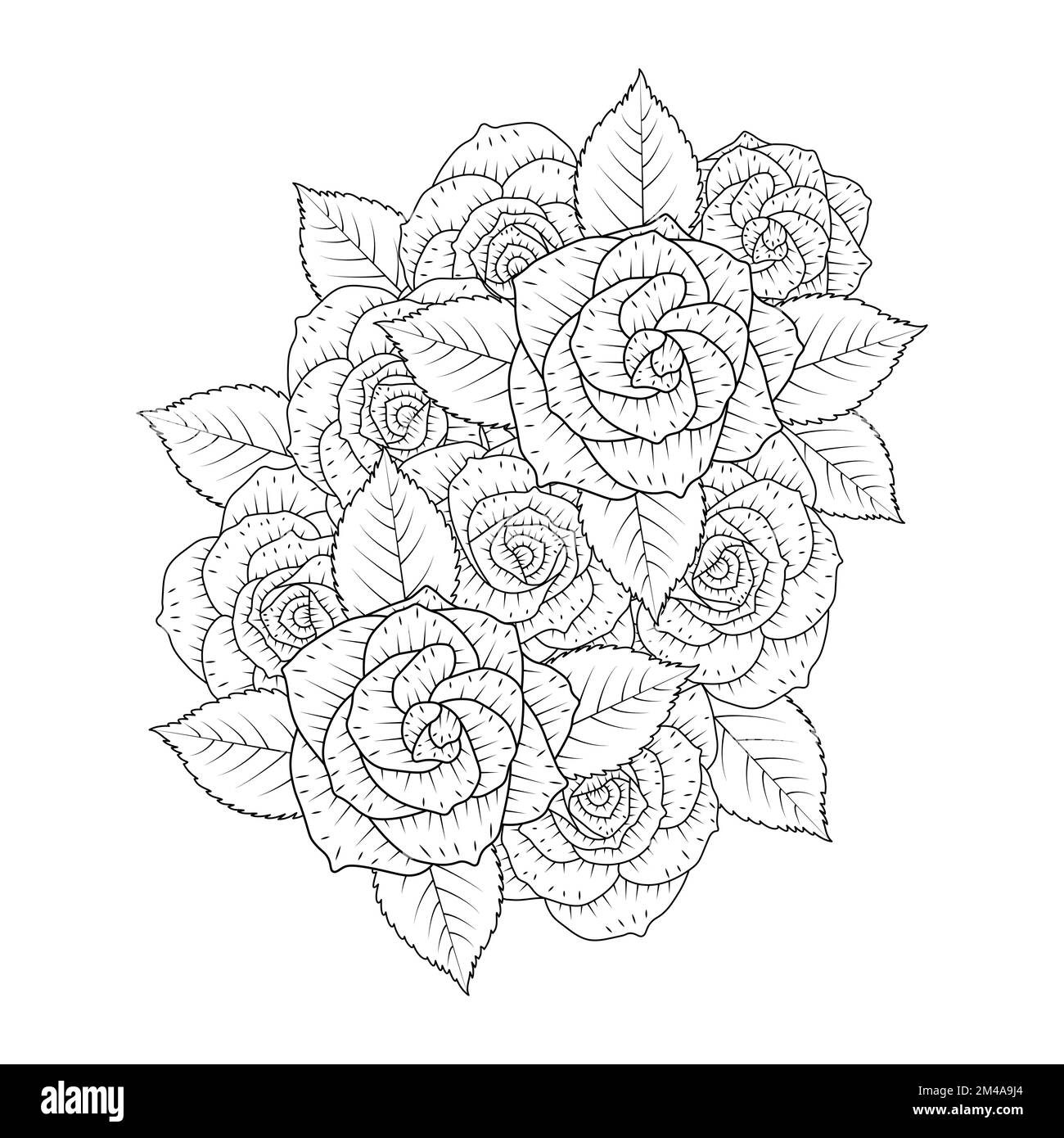 Black rose flower adult coloring page with wild rose decorative bouquet pencil sketch drawing stock vector image art