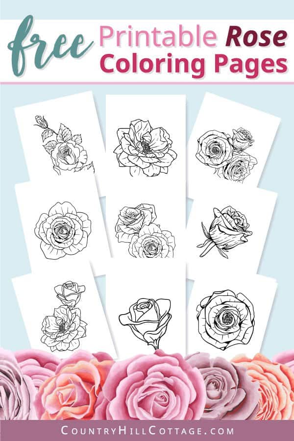 Free printable rose coloring pages realistic designs for adults