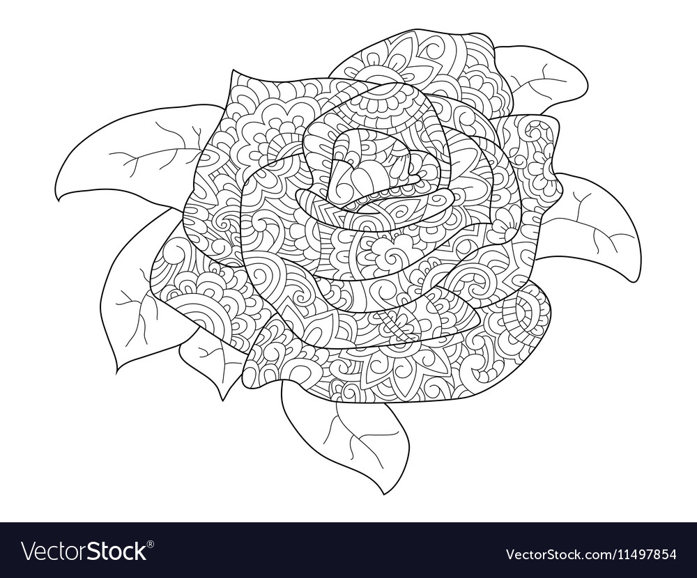 Rose flower coloring for adults royalty free vector image