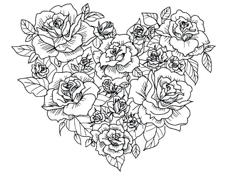 Gorgeous rose coloring pages for kids and adults