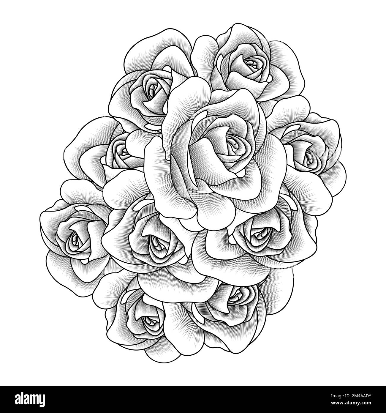 Adult coloring book page of pink rose illustration with leaves and pencil sketch drawing stock vector image art