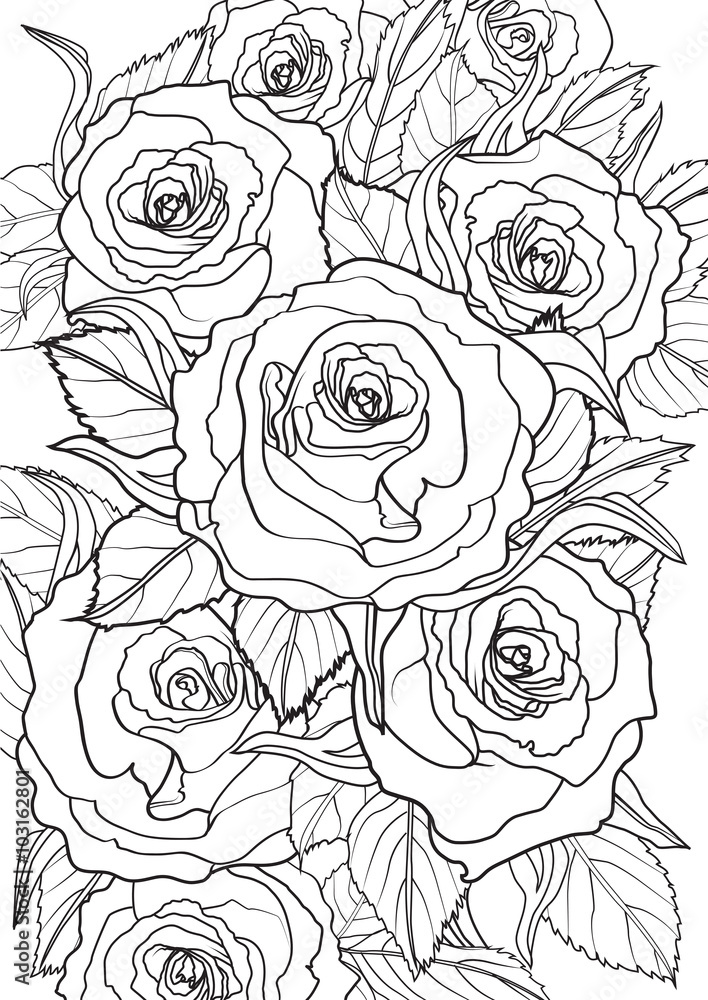 Adult coloring book â illustration tattoo set roses vector illustration vector