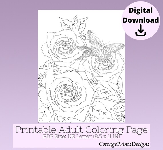 Roses printable coloring page butterflies on roses adult coloring page printable adult coloring page