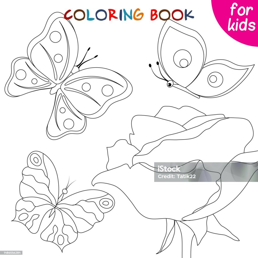 Butterflies collection butterflies fly around the rose coloring book page stock illustration