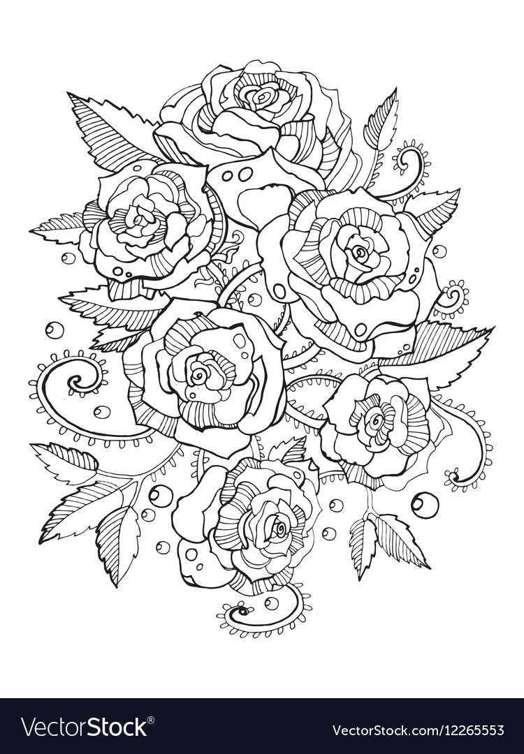 Roses coloring book for adults royalty free vector image