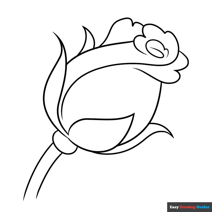 Rose bud coloring page easy drawing guides