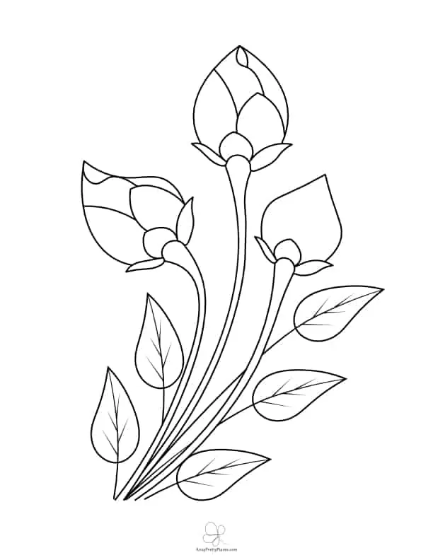 Best flower coloring sheets for free