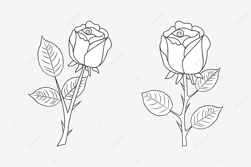 Animal coloring pages vector hd images rose flower png coloring page floral ornament doodle outline drawing vector black and white line art for color pages flower drawing rose drawing wing drawing png