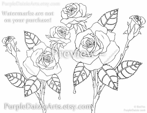 Adult coloring page printable pãgina para colorear rosen digital color sheet roses rose buds bud flowers line drawing art instant download