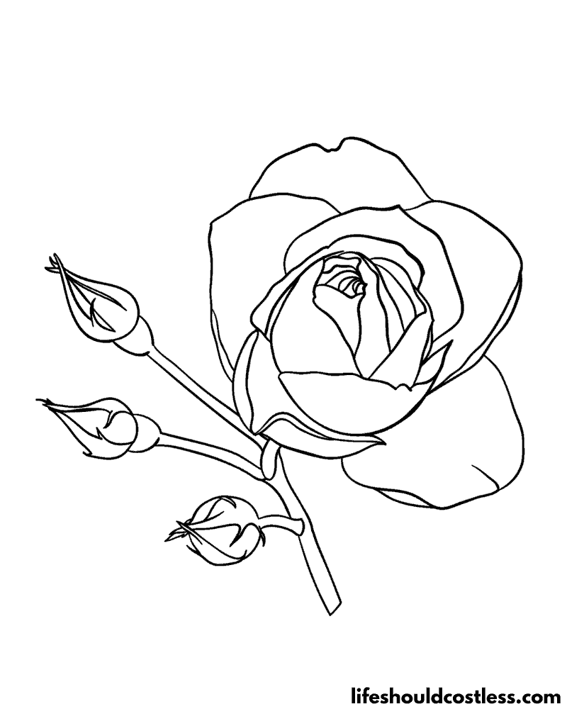 Rose coloring pages free printable pdf templates