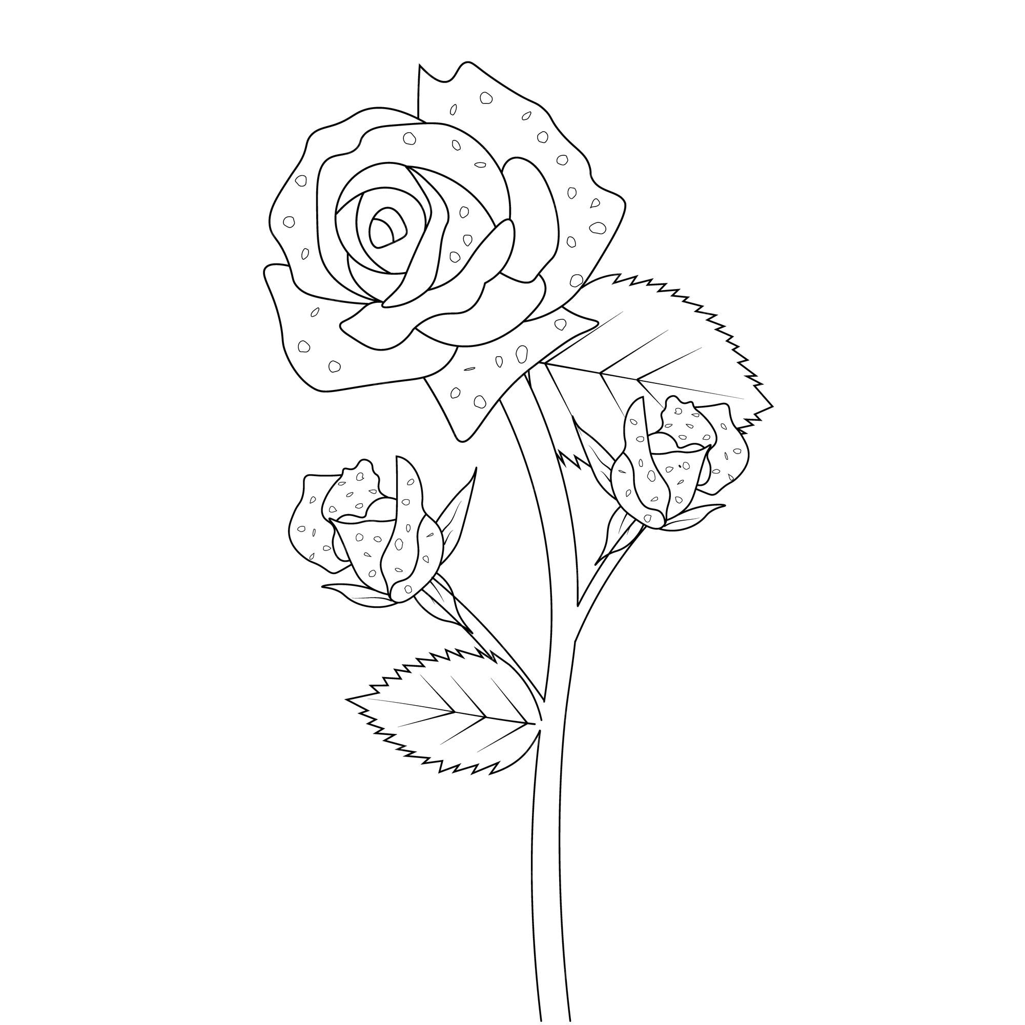 Premium vector botanical rose buds collection hand drawn line art coloring page for children and adults