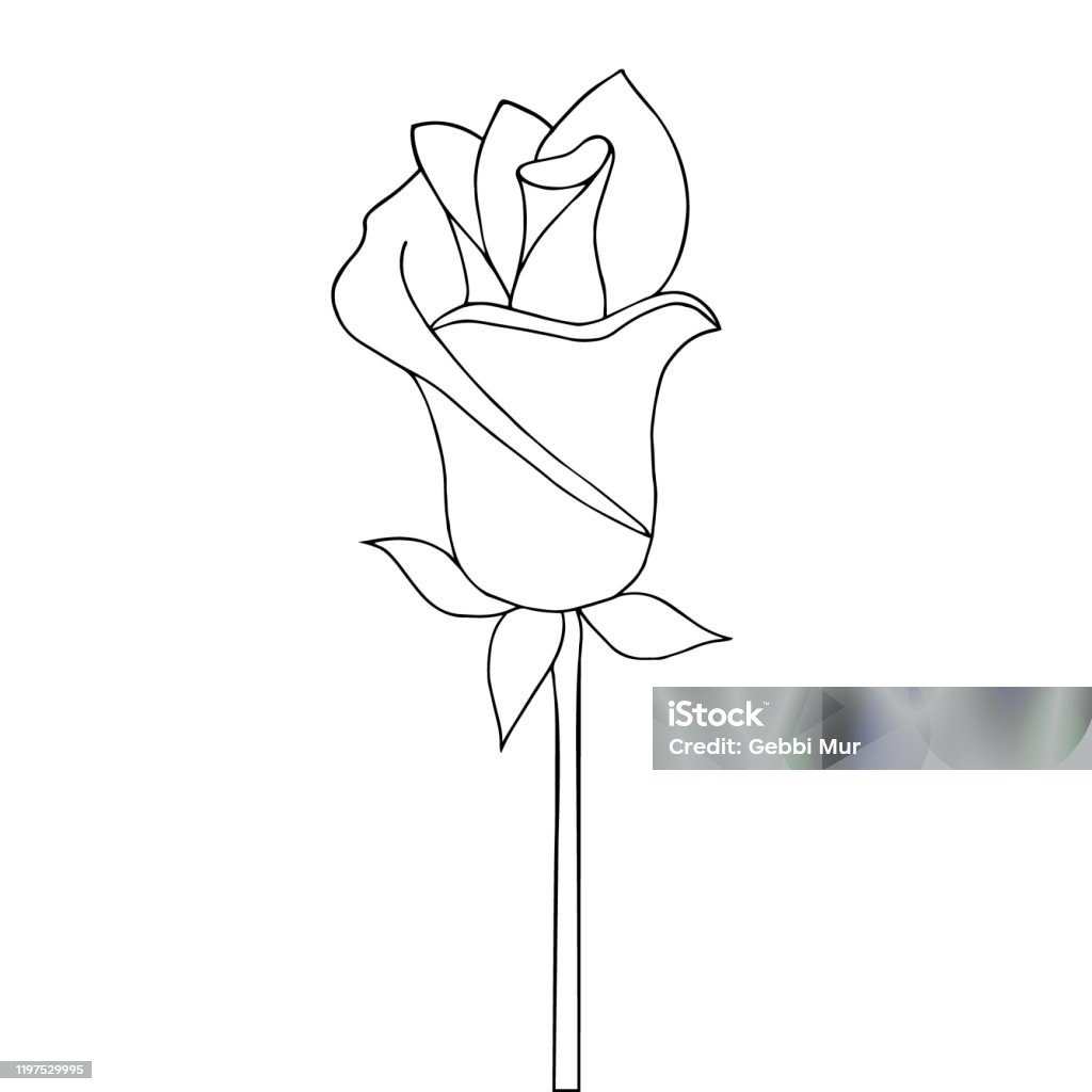 Blooming rose bud vector coloring book for children stock illustration