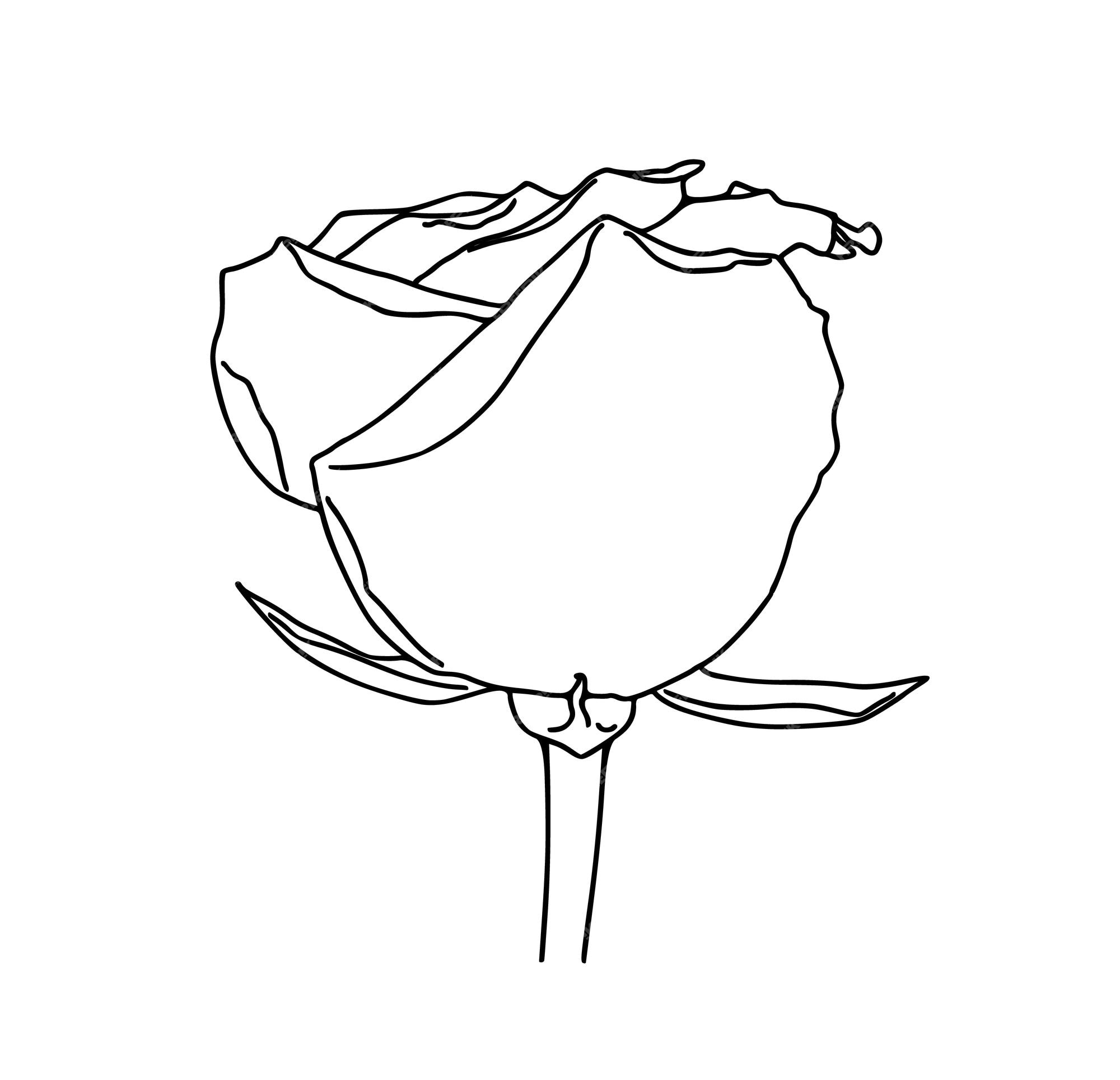 Premium vector rose bud on stem flower plant nature doodle linear cartoon coloring book