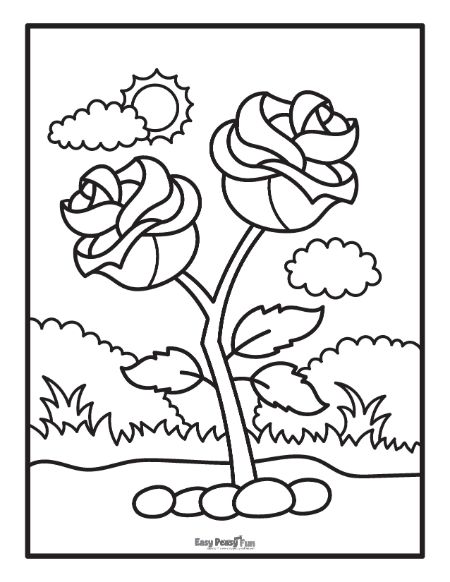 Printable rose coloring pages