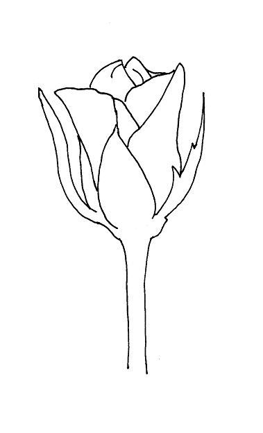 To create your own rose bud drawing begin by lightly sketching the roses drawing pencil drawings of flowers beautiful pencil drawings