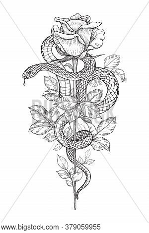 Hand drawn twisted vector photo free trial bigstock