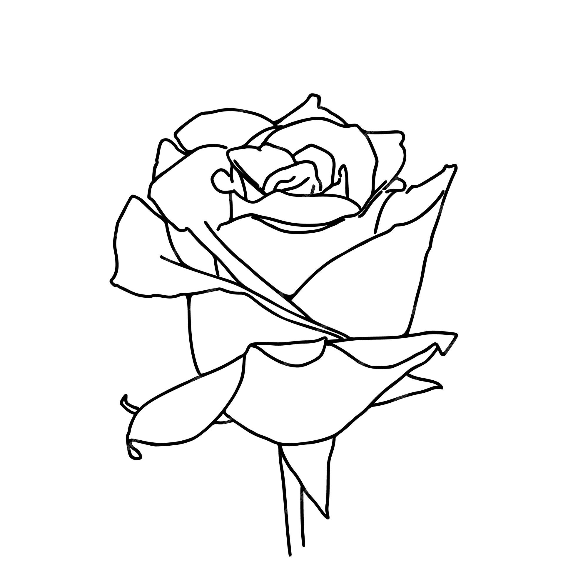 Premium vector rose bud on stem flower plant nature doodle linear cartoon coloring book