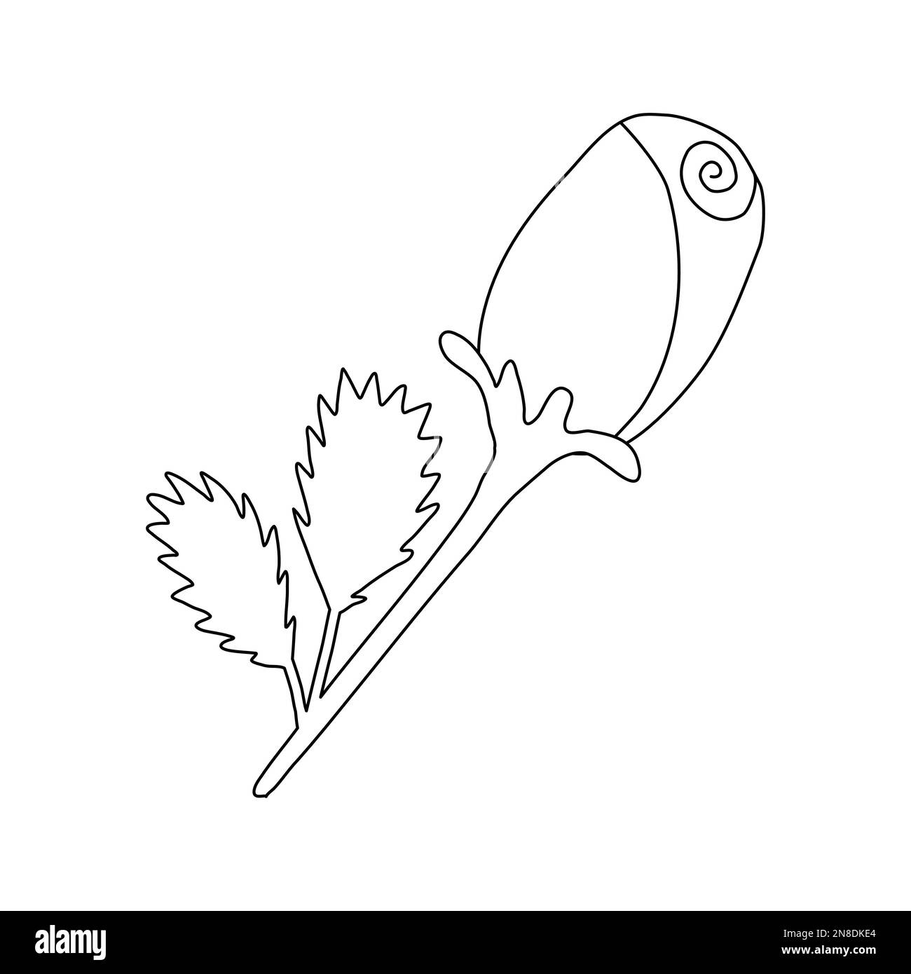 Rose bud on stem with leaves flat vector outline illustration for kids coloring book stock vector image art