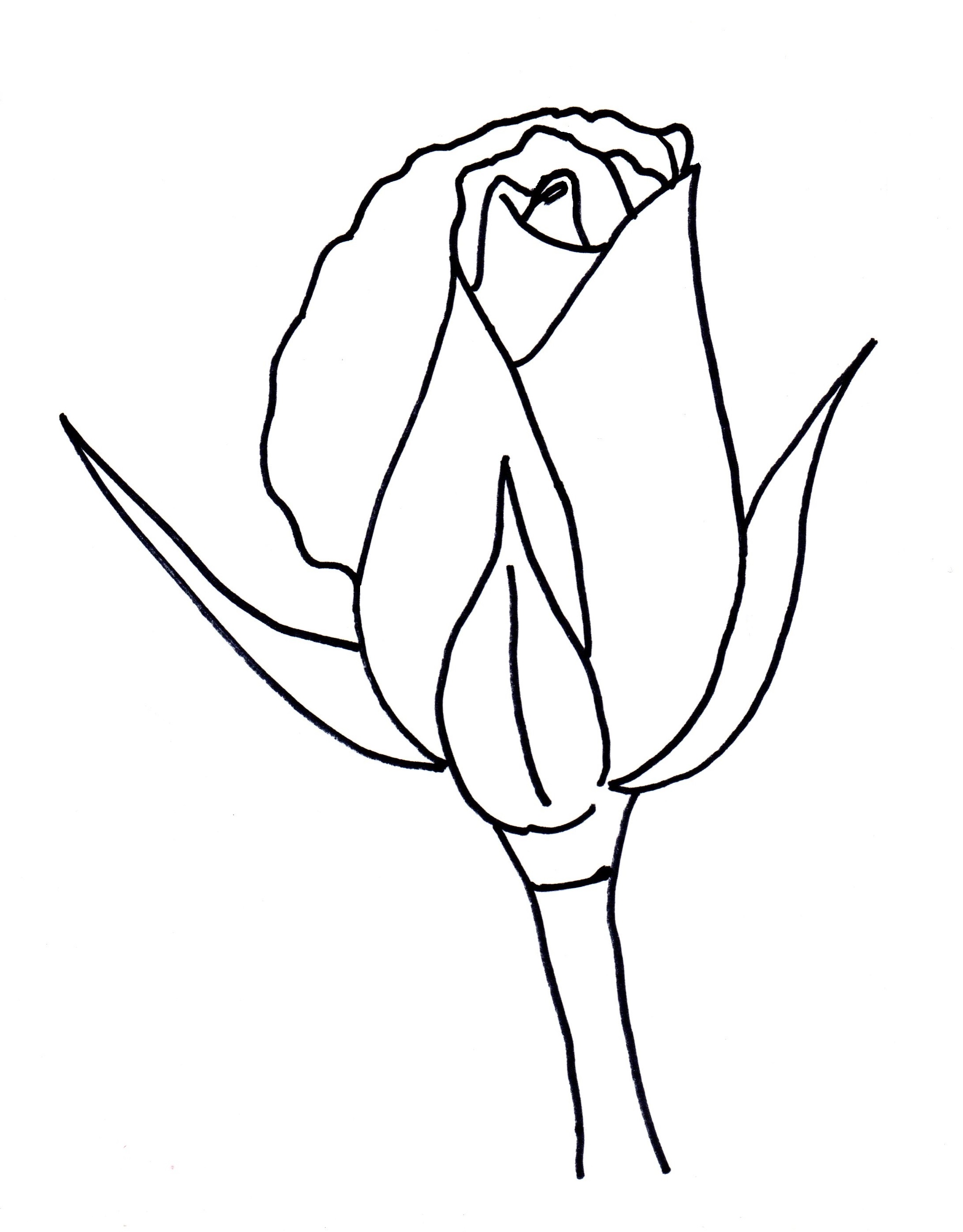 How to draw a rose bud