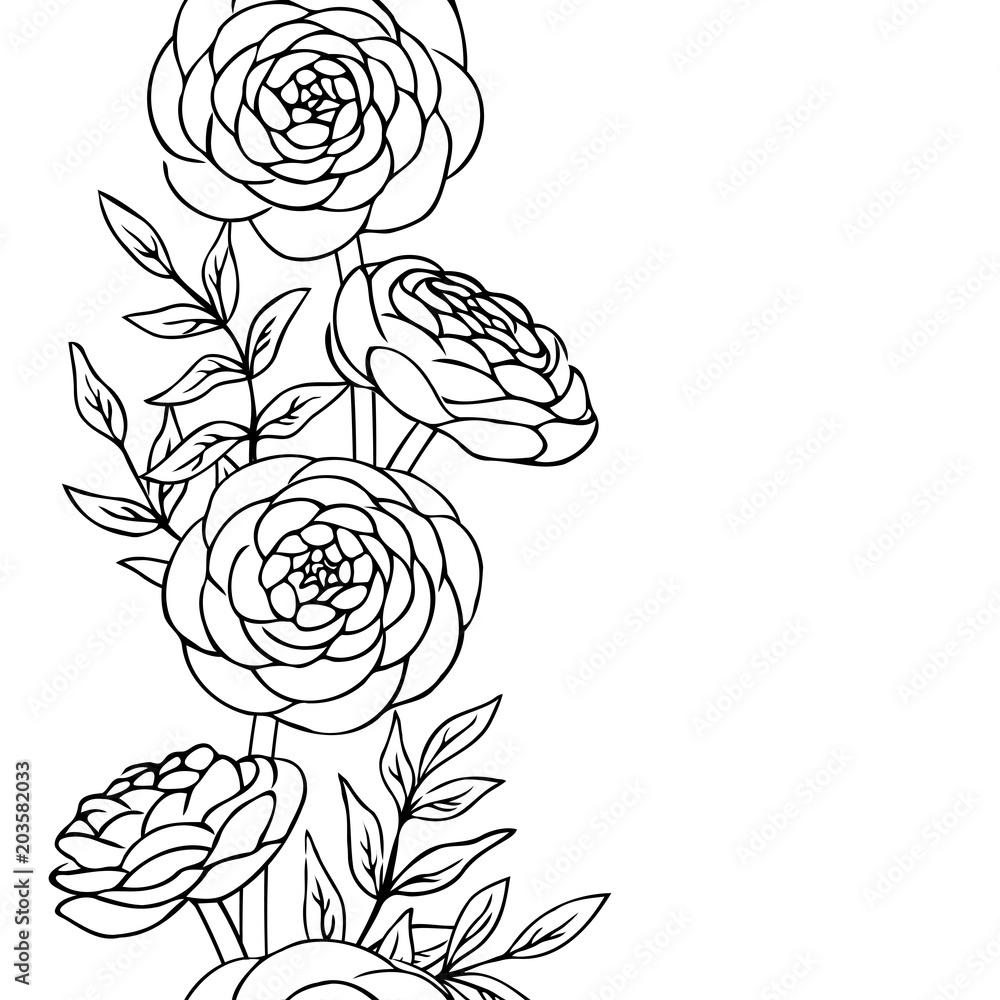 Vector contour ranunculus rose flowers bud leaf coloring book pattern elements vertical seamless repeating vector