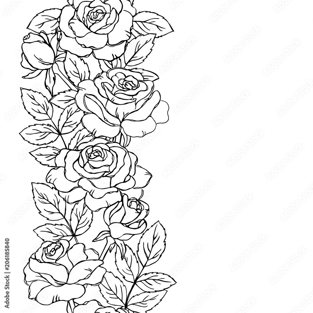 Vector contour rose flowers bud leaf branch coloring book seamless repeating vertical pattern elements border frame vector