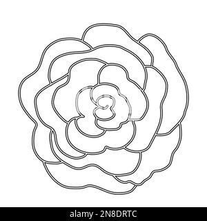 Rose flower head or bud closeup flat vector outline illustration for kids coloring book stock vector image art