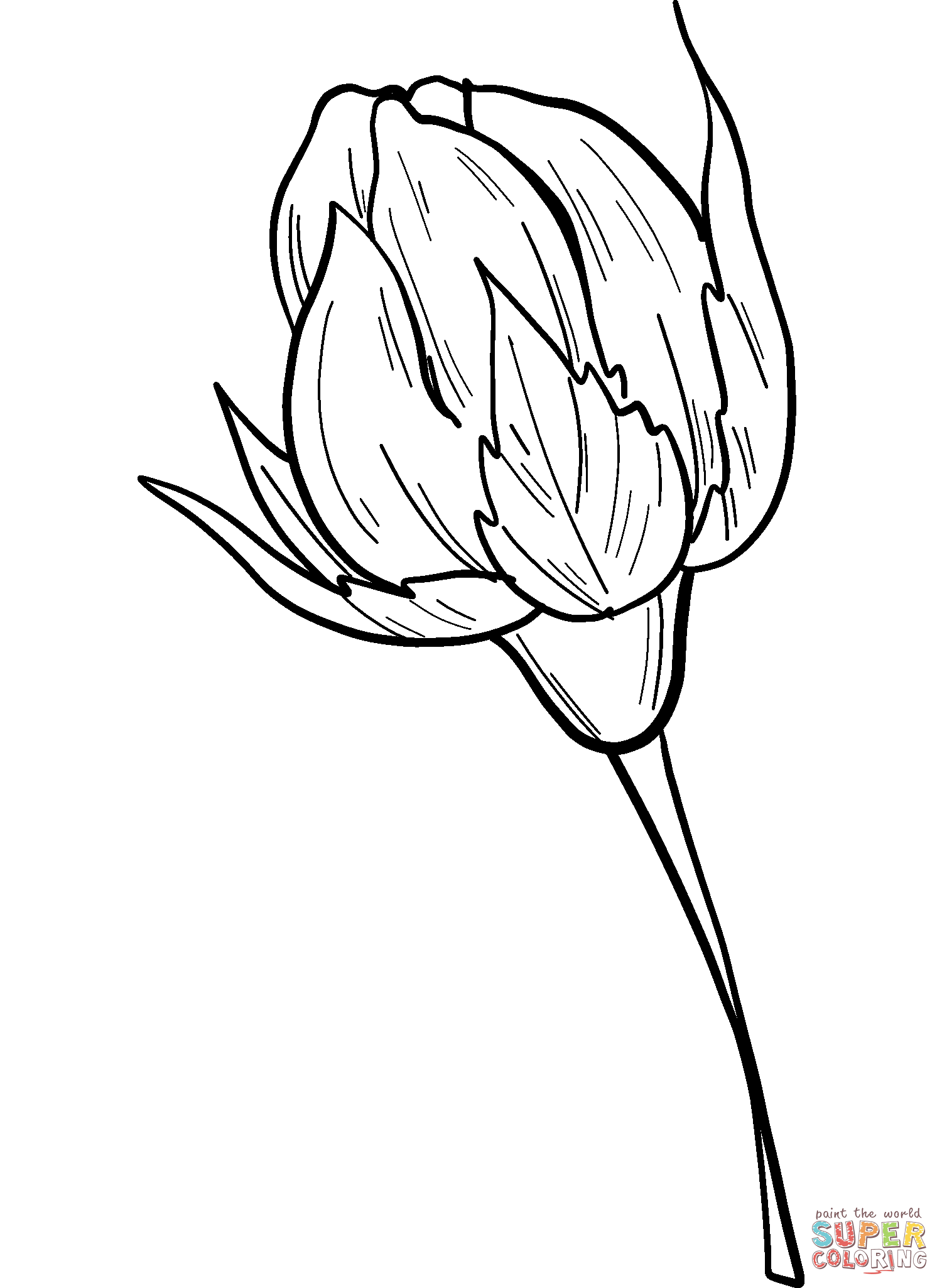 Rose bud coloring page free printable coloring pages