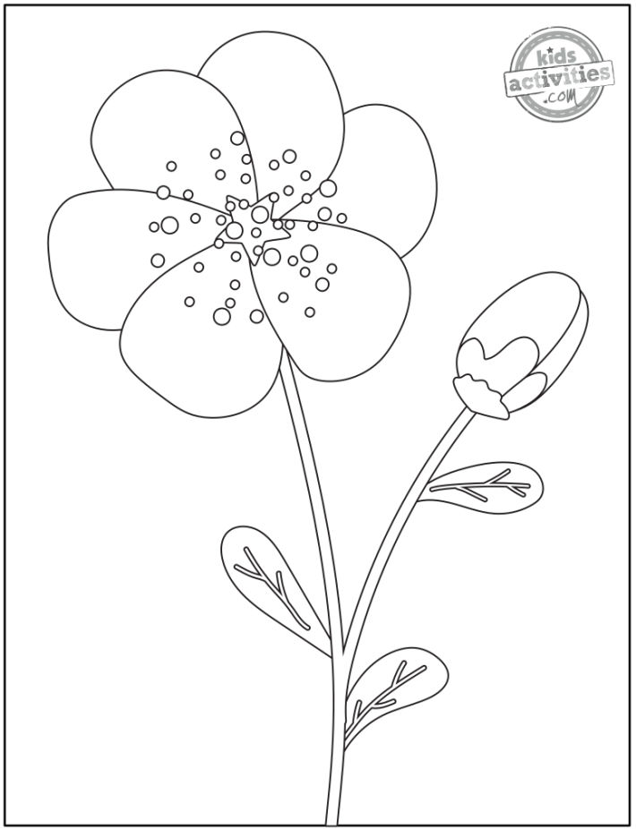 Printable flower coloring pages for kids