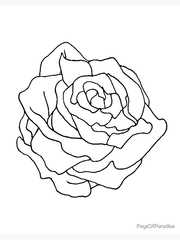 Rose bud drawing art board print for sale by keysofparadise