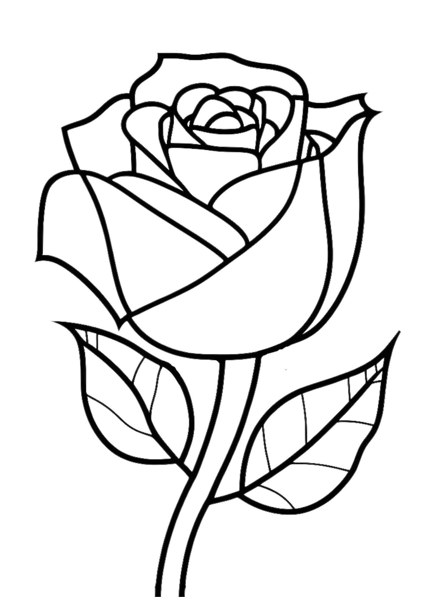 Free printable roses coloring pages for adults and kids