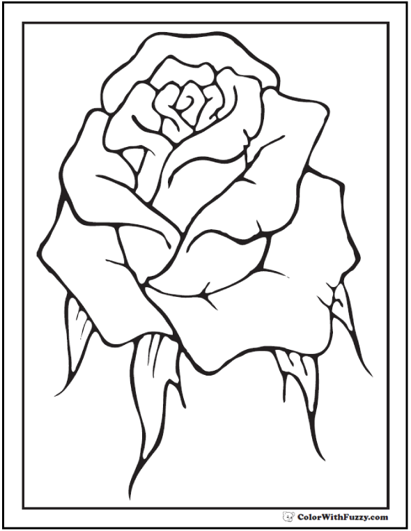 Single new rose coloring page