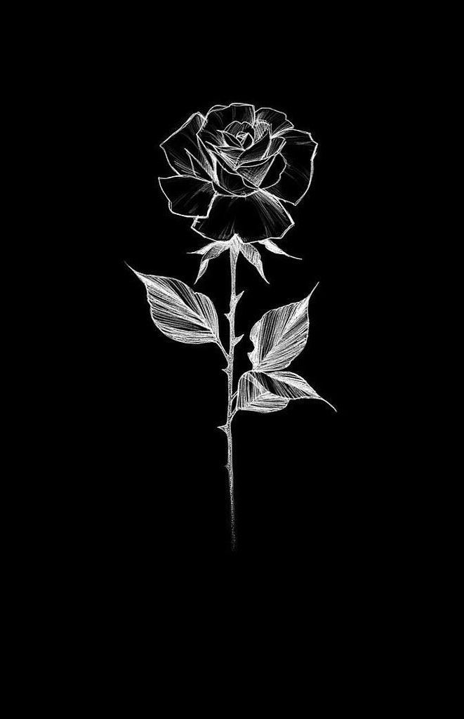 Pin by mai b on artâ black roses wallpaper cute black wallpaper black wallpaper iphone