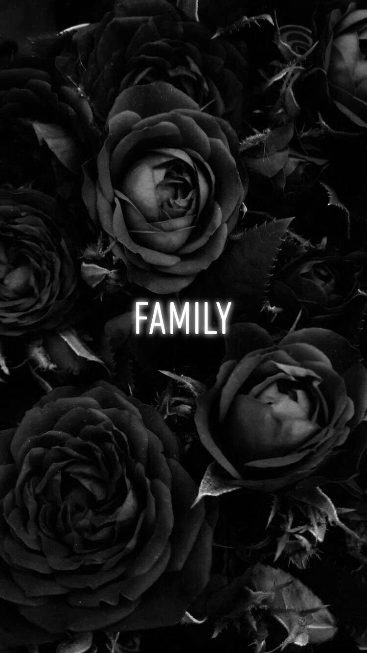 Aesthetic black roses wallpapers