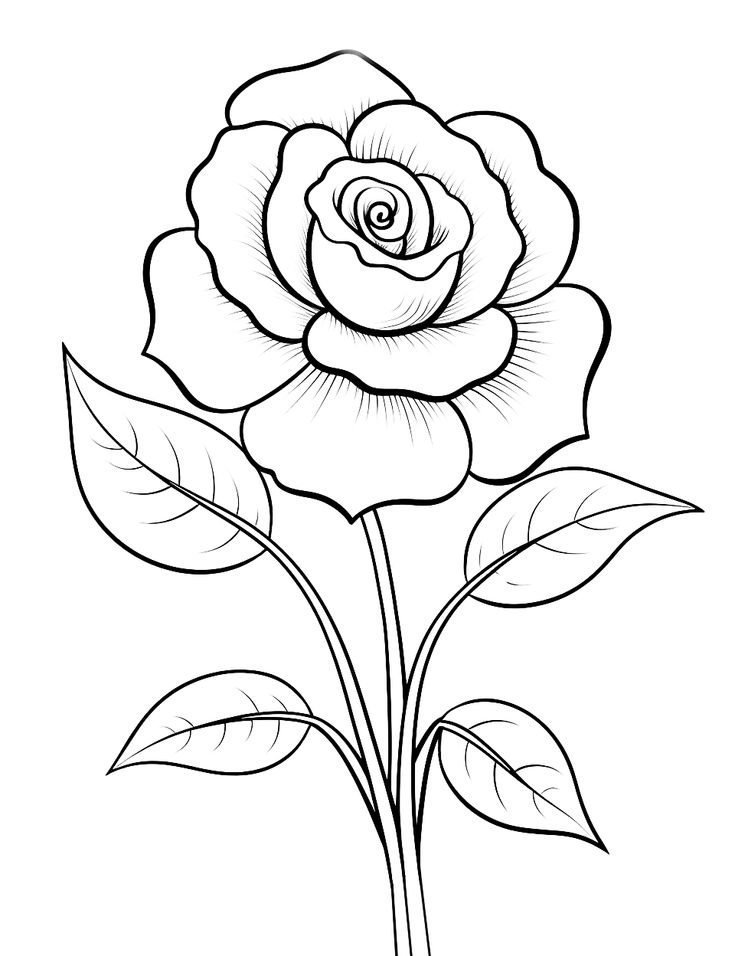 Printable flower coloring pages for kids free printable flower coloring pages easy flower drawings flower coloring pages