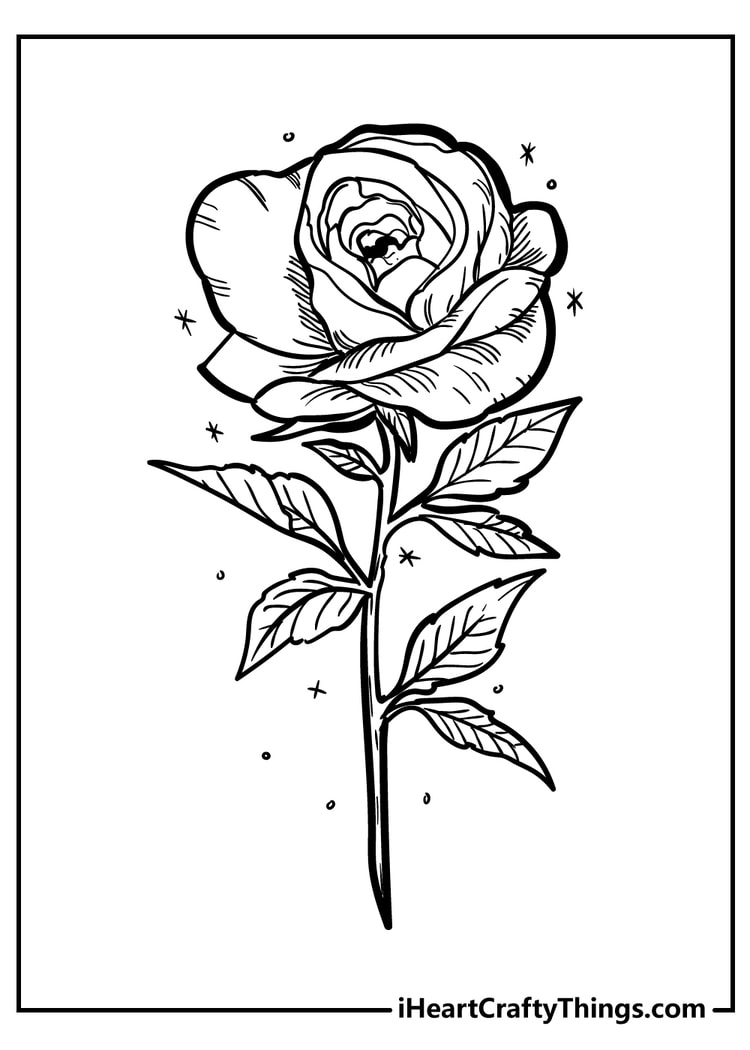 Rose coloring pages free printables