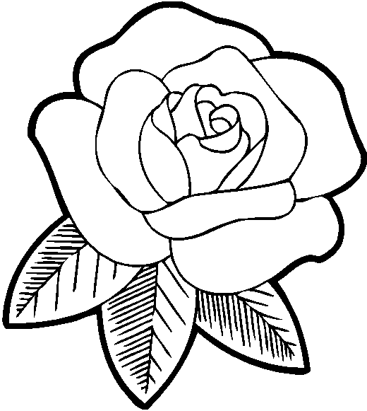 Rose coloring pages