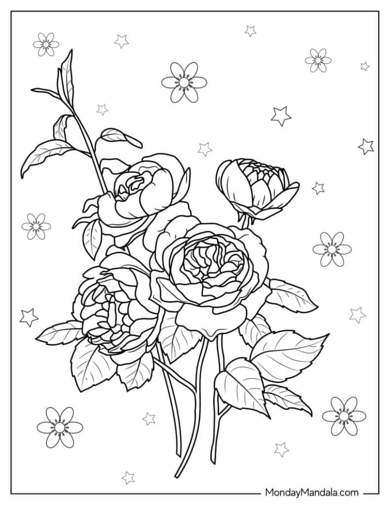 Rose coloring pages free pdf printables