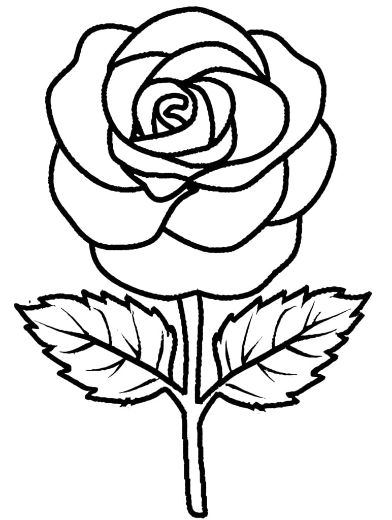 Rose coloring pages