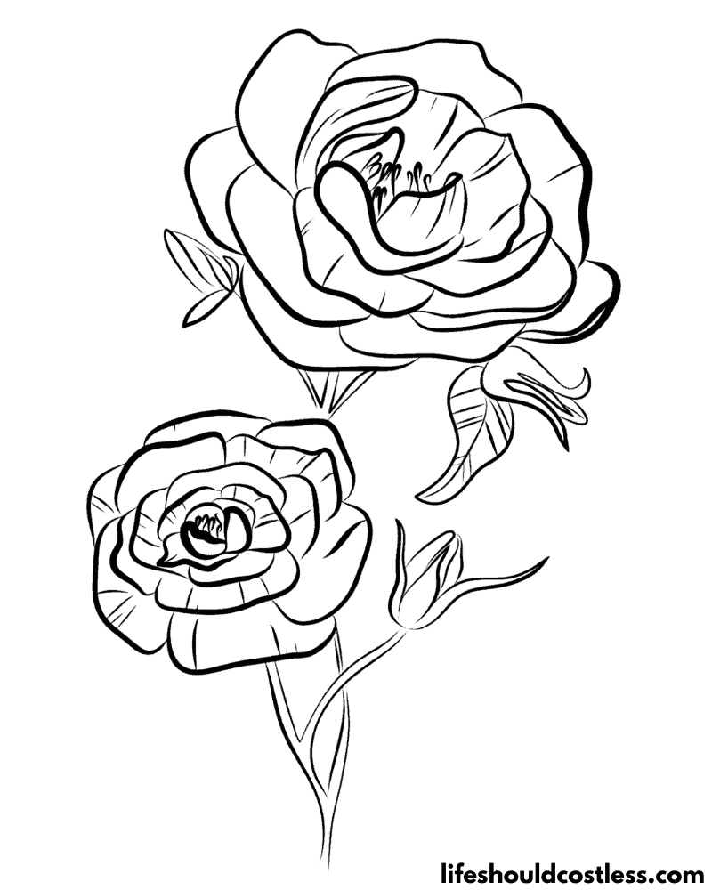 Rose coloring pages free printable pdf templates