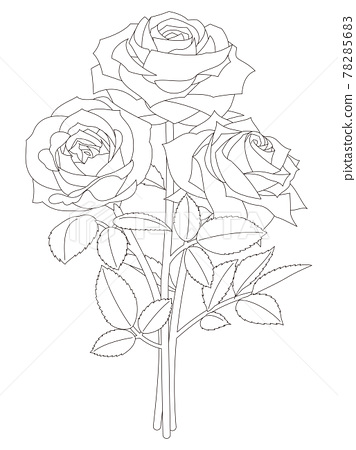 Flower coloring book rose flower