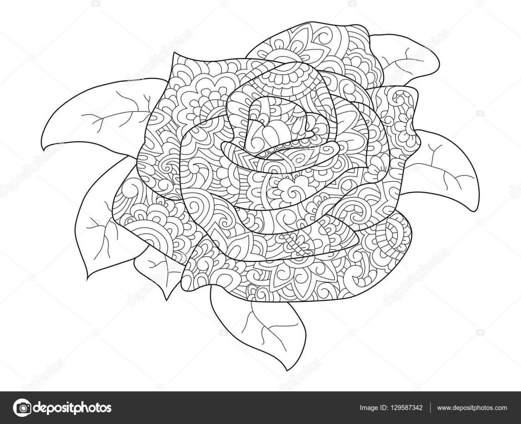 Rose flower coloring vector for adults stock vector by toricheksgmail