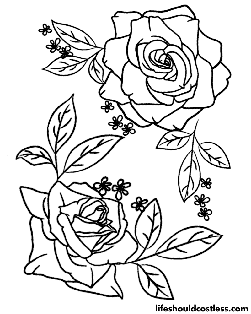 Rose coloring pages free printable pdf templates