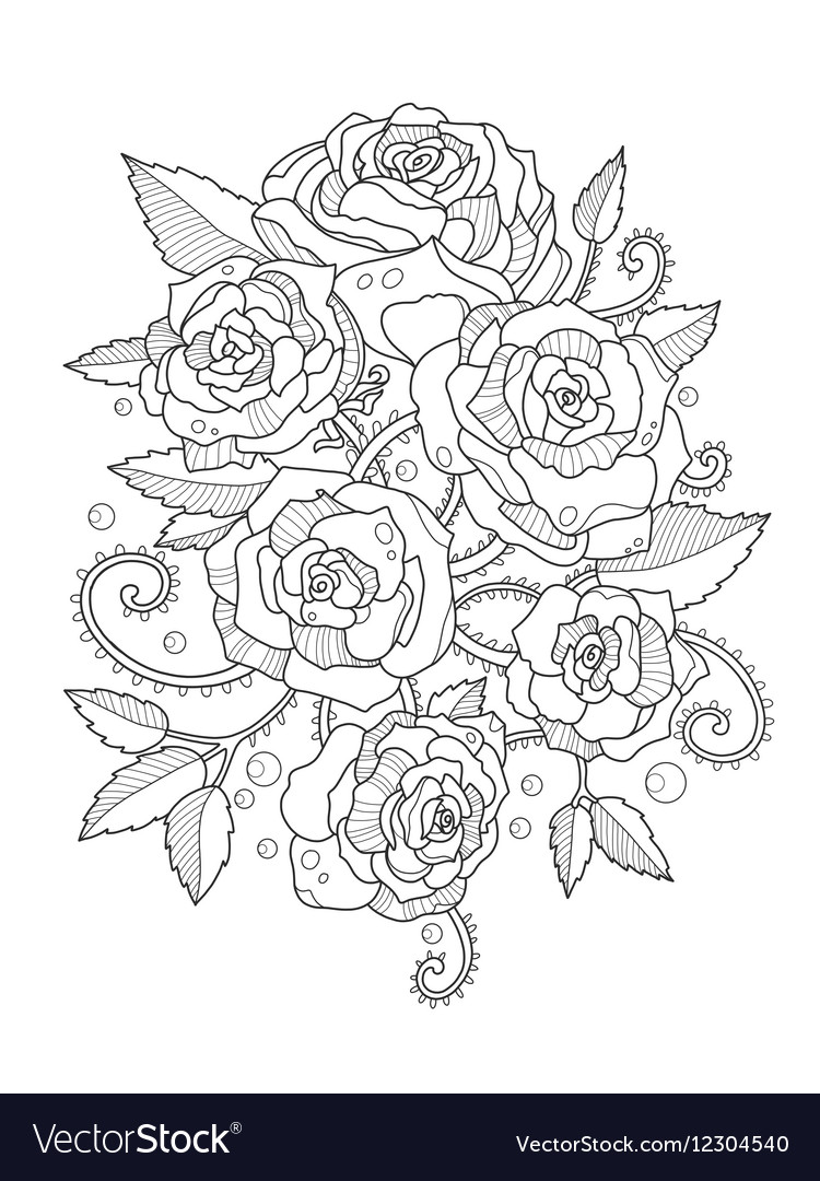 Roses coloring book for adults royalty free vector image