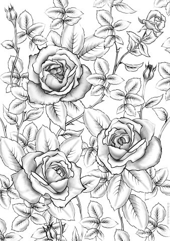 Roses â favoreads coloring club