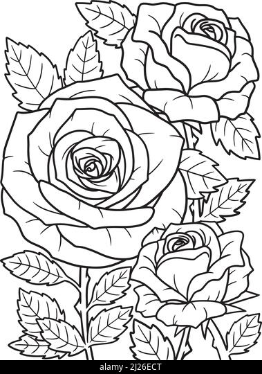 Rose flower coloring page for adults stock vector image art