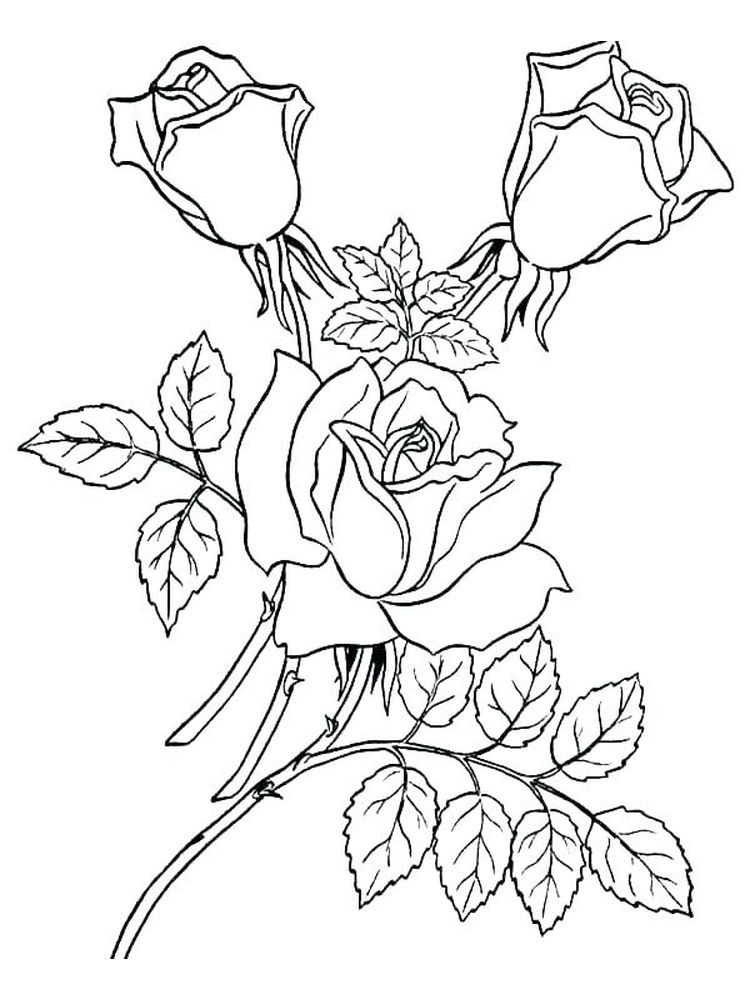 Coloring pages free rose coloring pages for kids