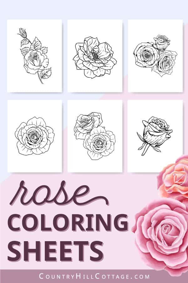 Free printable rose coloring pages realistic designs for adults