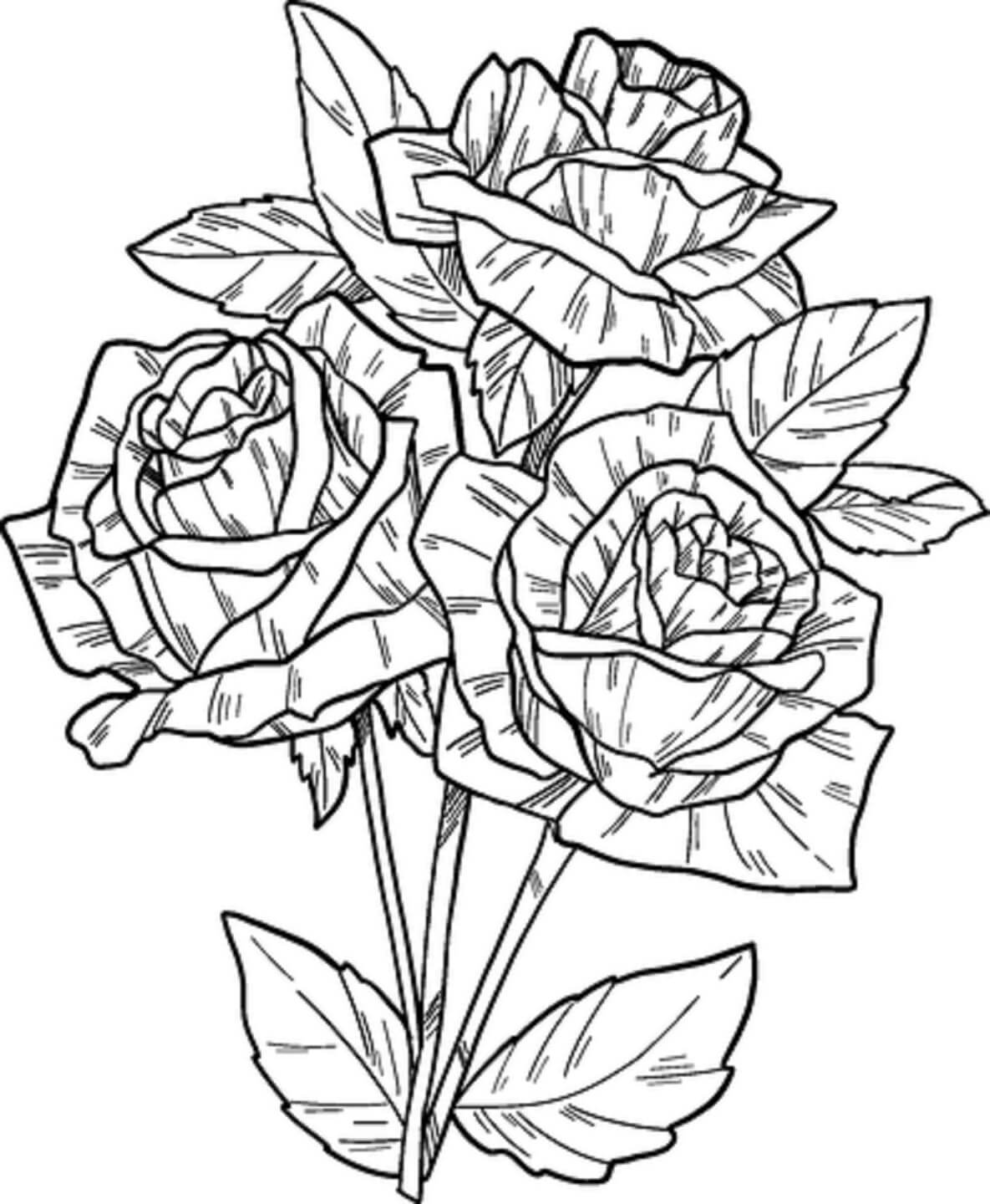 Hand draw rose coloring page